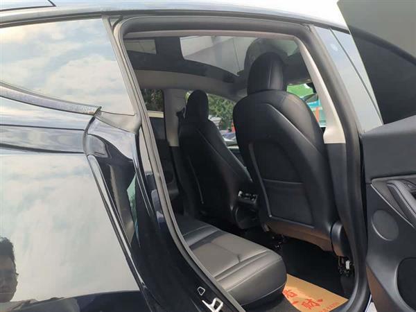 Model Y 2021款 长续航全轮驱动版