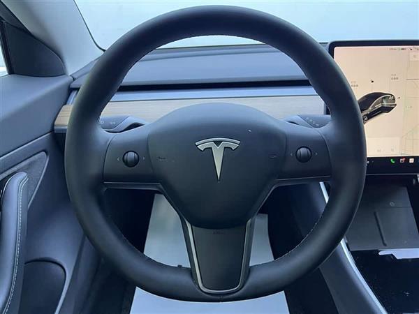 Model 3 2020款 改款 标准续航后驱升级版