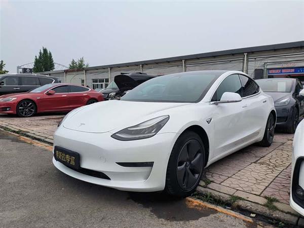 Model 3(进口) 2019款 长续航全轮驱动版