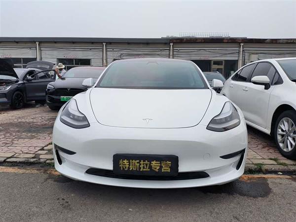 Model 3(进口) 2019款 长续航全轮驱动版