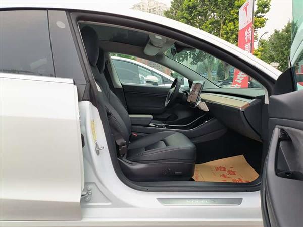 Model 3(进口) 2019款 长续航全轮驱动版