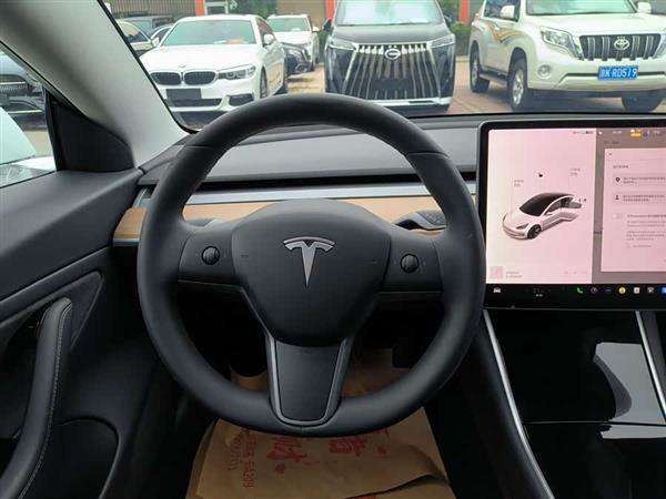 Model 3(进口) 2019款 长续航全轮驱动版