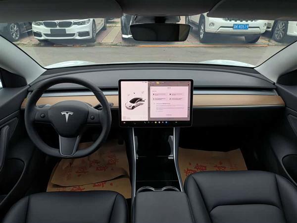 Model 3(进口) 2019款 长续航全轮驱动版