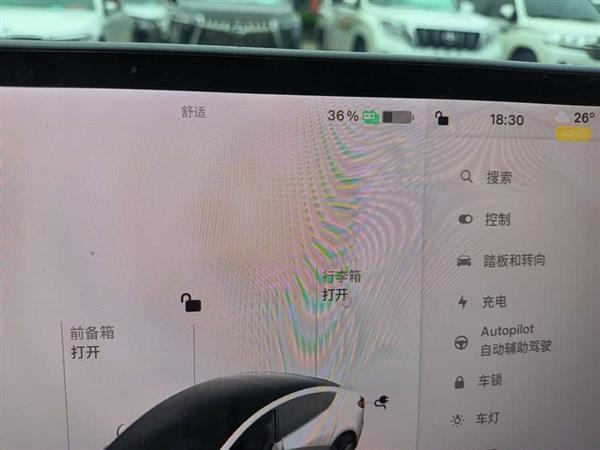 Model 3(进口) 2019款 长续航全轮驱动版
