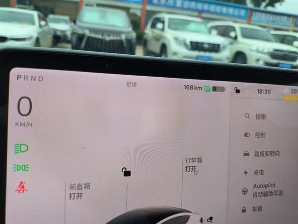 Model 3(进口) 2019款 长续航全轮驱动版