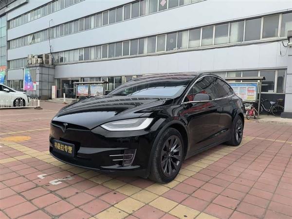 Model X 2017款 Model X 100D 长续航版