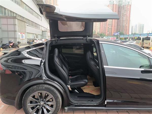 Model X 2017款 Model X 100D 长续航版