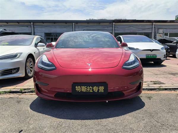 Model 3(进口) 2019款 长续航全轮驱动版