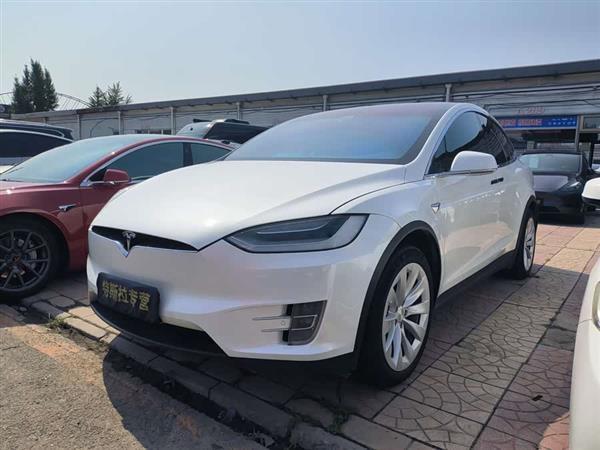 Model X 2019款 长续航版