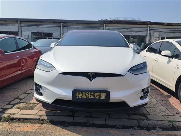 Model X 2019款 长续航版
