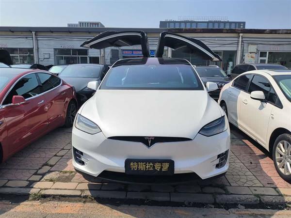 Model X 2019款 长续航版