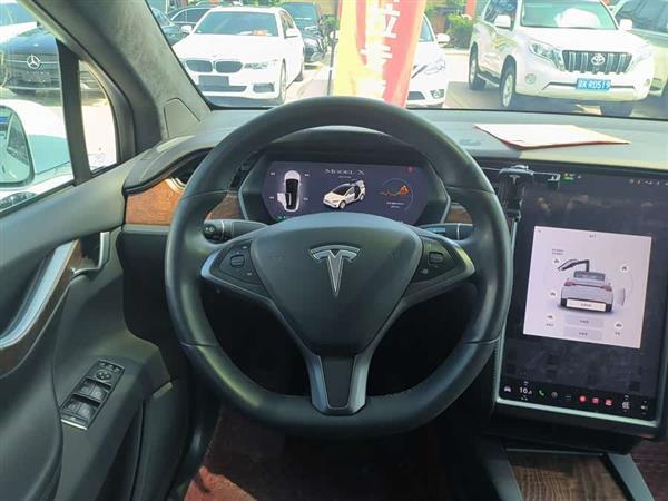 Model X 2019款 长续航版