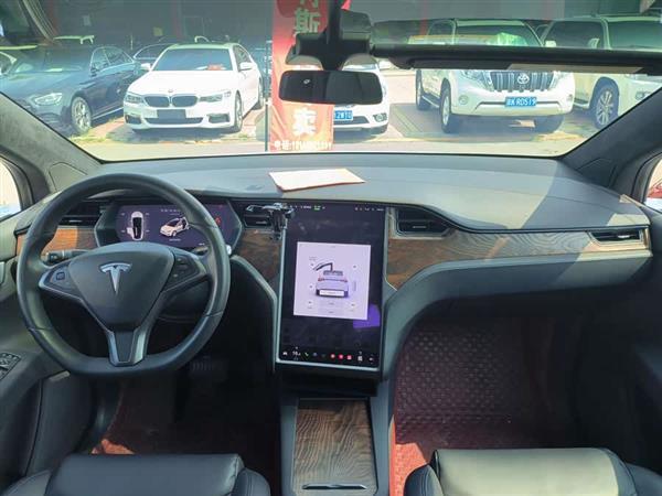 Model X 2019款 长续航版