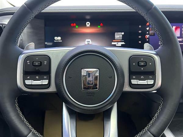 坦克300 2024款 2.0T 穿越者