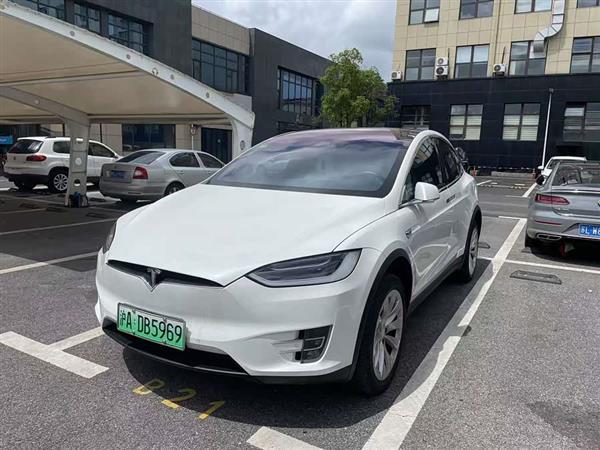 Model X 2017款 Model X 100D 长续航版