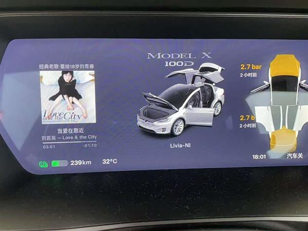 Model X 2017款 Model X 100D 长续航版