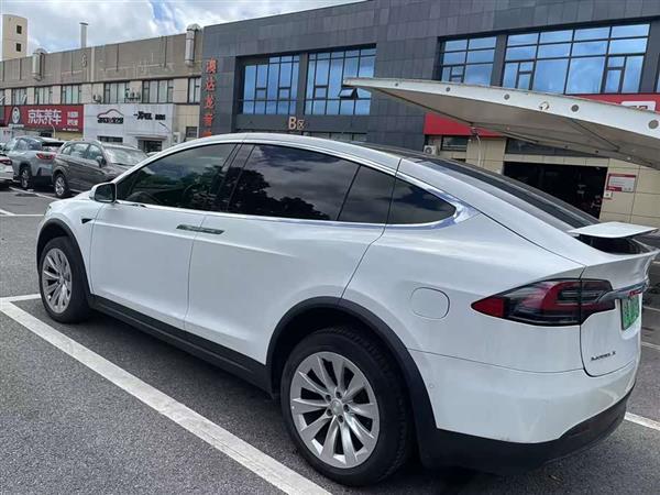 Model X 2017款 Model X 100D 长续航版