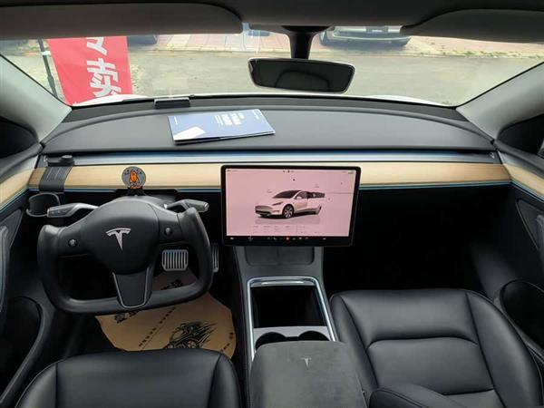 Model Y 2022款 改款 长续航全轮驱动版