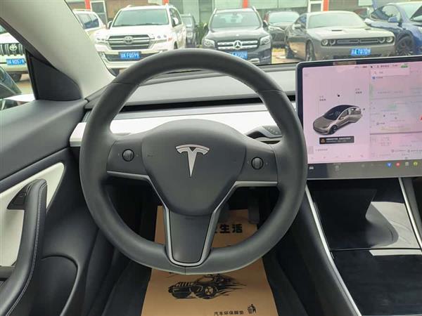 Model 3 2020款 标准续航后驱升级版