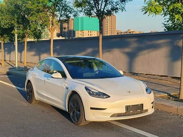 Model 3 2020款 标准续航后驱升级版