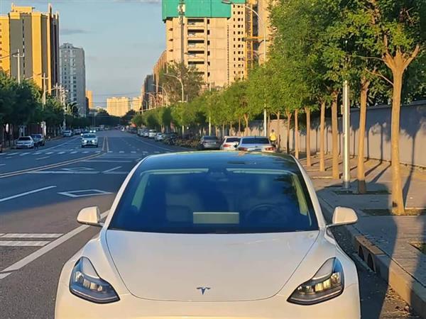 Model 3 2020款 标准续航后驱升级版