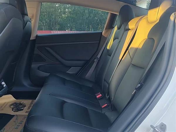 Model 3 2020款 标准续航后驱升级版