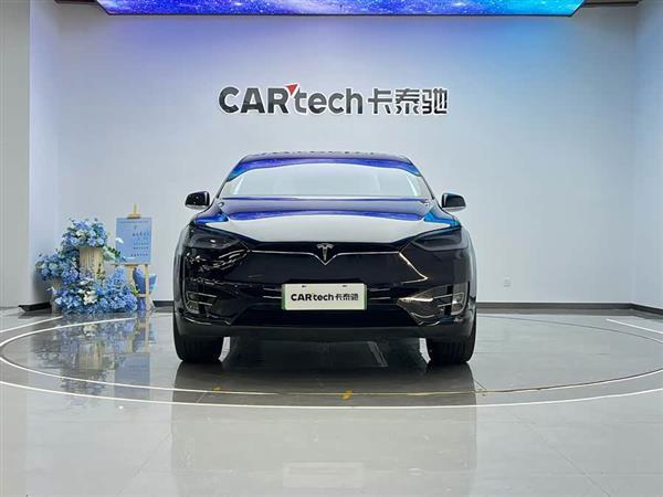 Model X 2019款 标准续航版