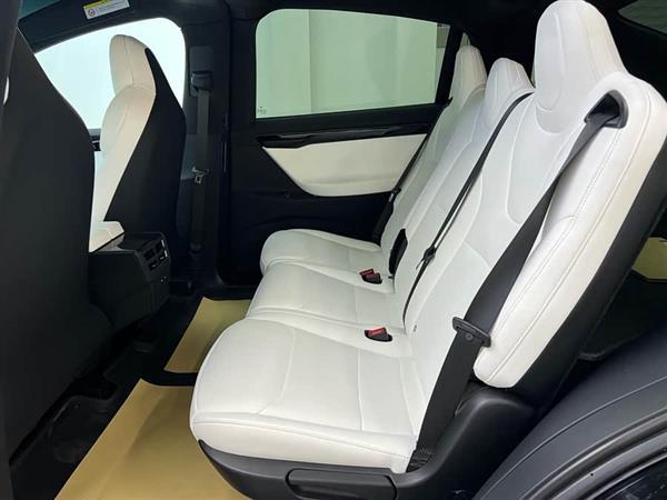 Model X 2019款 标准续航版