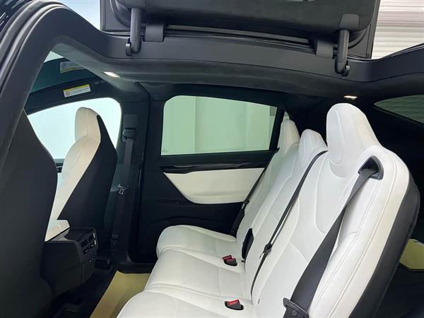 Model X 2019款 标准续航版