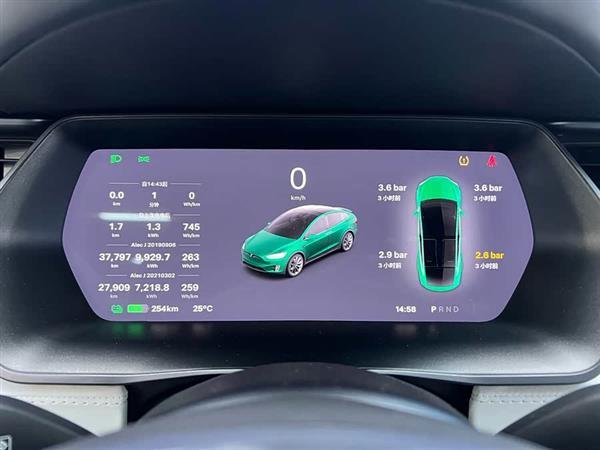Model X 2019款 标准续航版