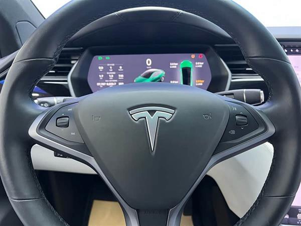 Model X 2019款 标准续航版