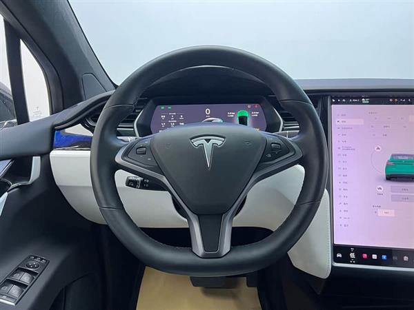 Model X 2019款 标准续航版