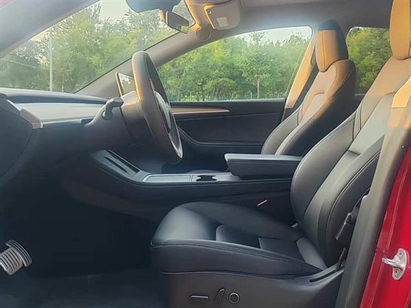 Model Y 2022款 Performance高性能全轮驱动版