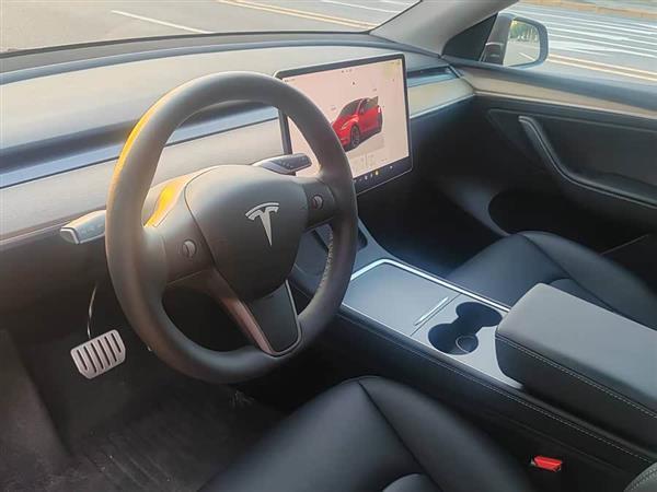Model Y 2022款 Performance高性能全轮驱动版