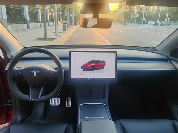 Model Y 2022款 Performance高性能全轮驱动版