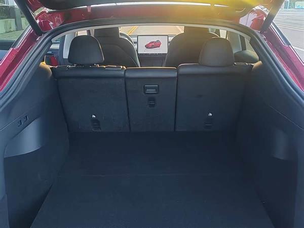 Model Y 2022款 Performance高性能全轮驱动版