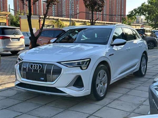 奥迪e-tron 2021款 50 quattro 豪华型