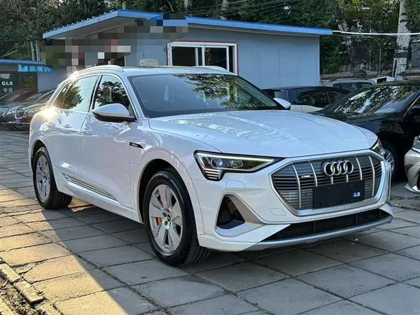 奥迪e-tron 2021款 50 quattro 豪华型