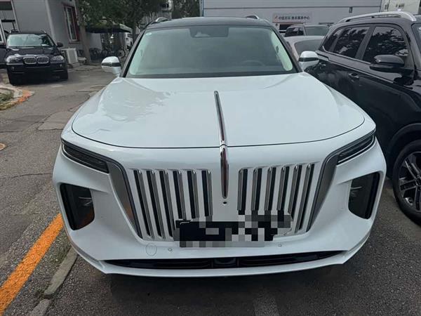 红旗E-HS9 2022款 660km 旗畅版 六座