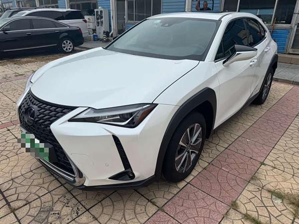 雷克萨斯UX新能源 2020款 300e 纯·享版