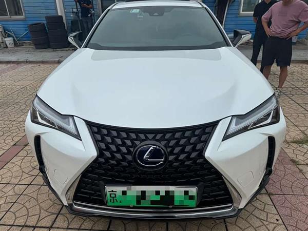 雷克萨斯UX新能源 2020款 300e 纯·享版