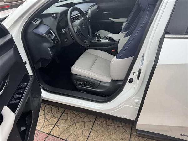 雷克萨斯UX新能源 2020款 300e 纯·享版