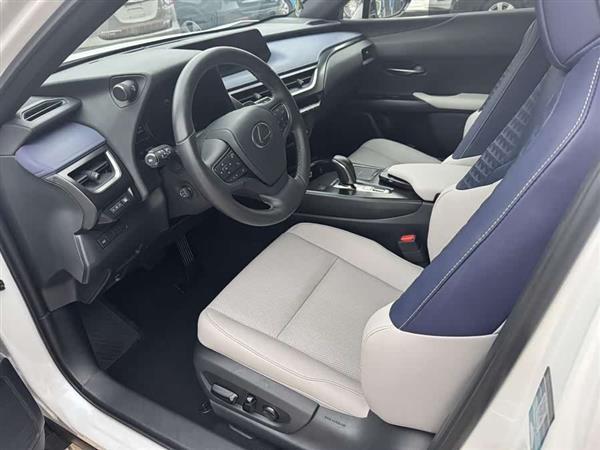雷克萨斯UX新能源 2020款 300e 纯·享版