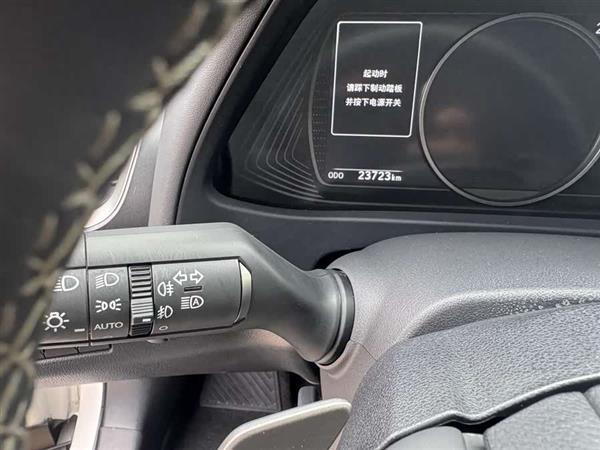 雷克萨斯UX新能源 2020款 300e 纯·享版