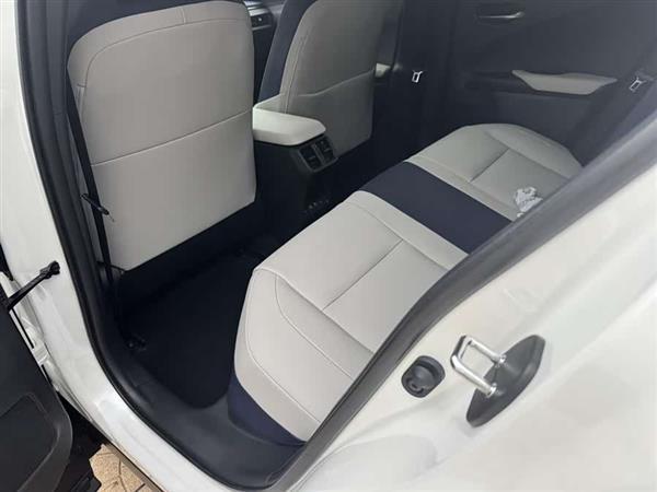 雷克萨斯UX新能源 2020款 300e 纯·享版