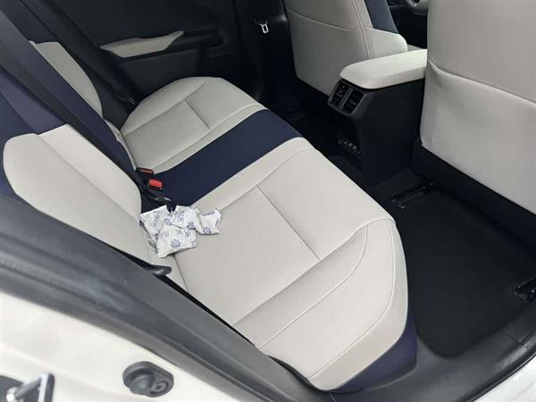 雷克萨斯UX新能源 2020款 300e 纯·享版