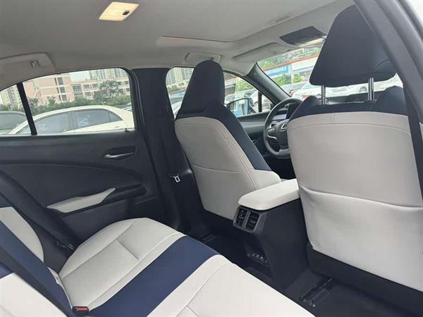 雷克萨斯UX新能源 2020款 300e 纯·享版
