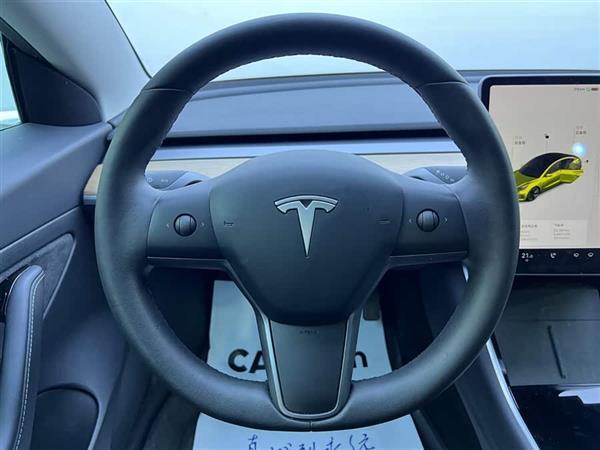 Model 3 2020款 改款 标准续航后驱升级版