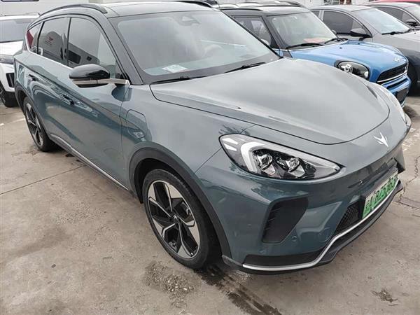 极狐 阿尔法T 2023款 688E+ 森林版 160kW