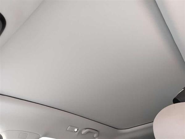 极狐 阿尔法T 2023款 688E+ 森林版 160kW